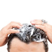 グリーンベル シャンプーブラシ SE-026 1個