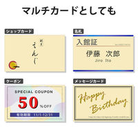 エレコム マルチカード 名刺 普通紙 厚口 アイボリー 名刺サイズ 両面印刷用 1箱（120枚入）（わけあり品）