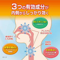 カユノード 12包 小林製薬 花粉 ハウスダスト かゆいのどの痛み【第2類医薬品】