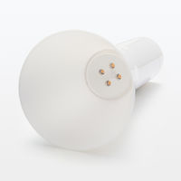 無印良品 LED懐中電灯 大 MJ-TBL63 良品計画