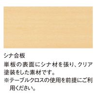【軒先渡し】ニシキ工業 OSL セレモニー・レセプションテーブル 900Φ×高さ700mm AOSL-900R 1台（直送品）