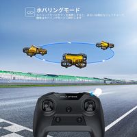HOLY STONE ドローン 100g未満 ミニドローン こども向け 室内向けHS450 HS450 1台（直送品）