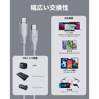 VOLTME シリコン 充電ケーブル USB-C&USB-C 100W 1m C2124 1点