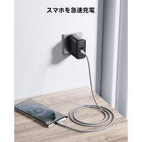 VLOLTME VOLTME ナイロン 充電ケーブル USB-C&USB-C 60W 1.8m C2165 1点