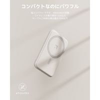 VLOLTME VOLTME MagSafe対応ワイヤレス充電器（5000mAh）USB-C B3019 1点
