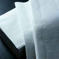 小野商事 ペーパータオル ソフトタイプ 中判(レギュラーサイズ) 300枚入 WS6420 1パック