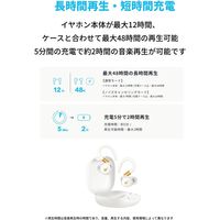 Anker Soundcore Sport X20 A3968Z21 1個