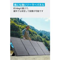 Anker SOLIX PS400 Portable Solar Panel A24370A1 1個