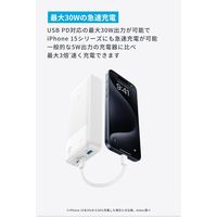モバイルバッテリー Anker Power Bank (20000mAh、 30W) A1384N21 1個