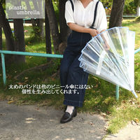 スギハラ 傘 60cm ジャンプ カラーグラス16本骨 グレージュ 4947272706222 1本