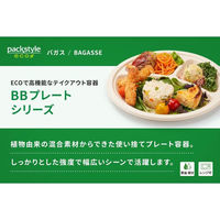 パックスタイル バガス容器 新BB楕円プレート 250-190 00709947 1袋(50枚)