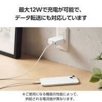 iPhone充電ケーブル USB-A to ライトニング 最大12W 2m 白 MPA-UALECD20WH エレコム 1個（直送品）