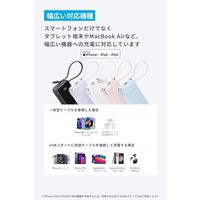 モバイルバッテリー Anker Power Bank (10000mAh、ライトニングケーブル) A1637152 1個