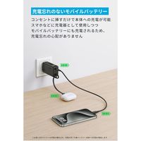 モバイルバッテリー Anker Power Bank (30W、Fusion、ライトニングケーブル) A1636122 1個