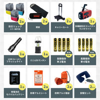 防災セット 2人用 ブルー×イエロー 40L ビッグリュック キャリーカート 寝袋 防災士監修 防災リュック 警戒レベル4（直送品）