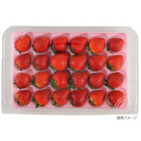 エフピコチューパ フルーツ容器 STR-GHP.8H CP007400 1ケース(300個(50個×6)（直送品）