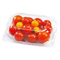 エフピコチューパ フルーツ容器 APクリアルーフM 10H CP003715 1袋(50個)（直送品）