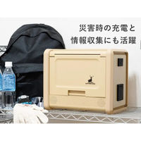 キャプテンスタッグ ポータブルバッテリー 500 TV UW-4511 1台（直送品）