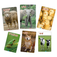 アーテック これはなんの音？かるた～いきもの～ 1個