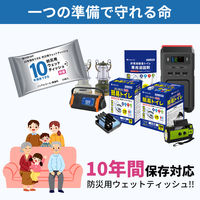 10年保存できる防災用ウェットティッシュ 5個 衛生用品 長期保存 ノンアルコール 無香料 防災グッズ 災害 清掃（直送品）
