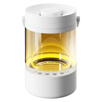 エスケイジャパン ガラス型ポット式スチーム加湿器 SKJ-RY30SKG-WH 1台（直送品）