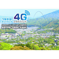 カシムラ スマートカメラ 4G/AC電源/防水 KJ-211 1台（直送品）