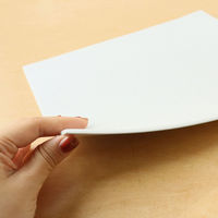 タカギ繊維 スポンジシート 24×27cm×厚み6mm 2枚入 M601-SS2 1セット/5個入（直送品）