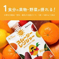 スムージーレンジャー YELLOW（みかんとマンゴーと野菜）　1セット（1個（80g）×12）　カインデスト