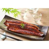 キングマカデミアンJAPAN 浜松・浜名湖鰻蒲焼&うな茶漬け 4人前 U910202 1セット（直送品）