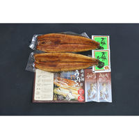 キングマカデミアンJAPAN 浜松・浜名湖うなぎ蒲焼 2人前 長焼き U910002 1セット（直送品）