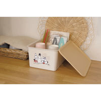 錦化成 ムーミン コレクトBOX(S)(BE-fam) 4460210 1個（直送品）