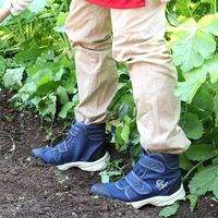 阪神素地 阪神 FU3005 ラク足袋+農林女子23.5ネイビー 1足（直送品）