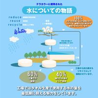 林 ウォッシュタオル テラカラー グリーン 1セット（同色3枚） WN602404 1セット（同色3枚入）