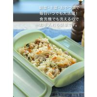 シービージャパン スチームケース+トレイ ソフトグリーン 4573306863335 1個