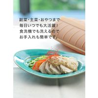 シービージャパン スチームケース+トレイ アーモンド 4573306863342 1個