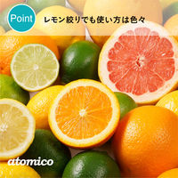 シービージャパン ちょいと絞れるレモン絞り 4573306872160 1個