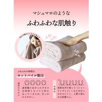 シービージャパン カラリデイ ヘアドライタオル2枚組 ピンク 吸水力5倍 マイクロファイバー 速乾 マシュマロ肌触り 1枚