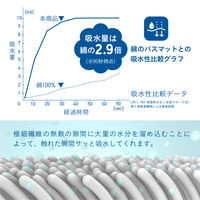 シービージャパン カラリポコ バスマット L グレー 4573306872702 1枚