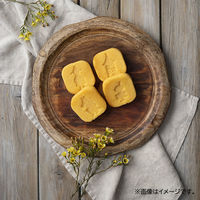 貝印 シリコーン カップケーキ型 ムーミン谷の仲間たち 000DN0606 1個