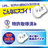 リベルタ カビダッシュ 防カビ・バイオバスター 905338 1セット(1箱×3)