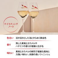 マム グラン コルドン グラス2脚付き シャンパーニュ 750ml 1本 白 辛口 シャンパン ギフトボックス入 お祝 ペルノ・リカール