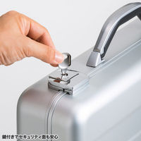 サンワサプライ  PCアルミケース BAG-AL4N2（直送品）