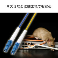 サンワサプライ  防水ロバスト光ファイバケーブル（マルチ50μmOM3、2芯、両端LC×2、30m HKB-WRB2M3LCLC-30（直送品）