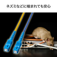 サンワサプライ  防水ロバスト光ファイバケーブル（シングル9μm、2芯、SC×2-SC×2、50m HKB-WRB2SCSC1-50（直送品）
