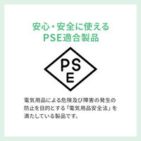 サンワサプライ  一括集中スイッチ付き電源延長コード TAP-EX2SWW（直送品）