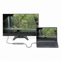 サンワサプライ USB Type-C ドッキングハブ USB-5TCHCP17GM 1個