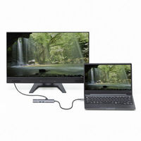 サンワサプライ  USB Type-C ドッキングハブ USB-5TCHLP16GM（直送品）