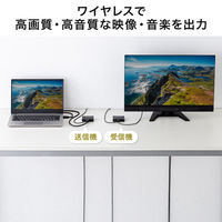 サンワサプライ  ワイヤレスHDMIエクステンダー（最大60m延長・セットモデル） VGA-EXWHD13（直送品）