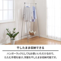 天馬 ポーリッシュ インテリア物干し ハンガーラック PSI-11 1個
