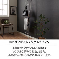 天馬 ポーリッシュ インテリア物干し ラダー PSI-08 1セット（3個）